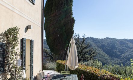 The Ligurian Lookout 7