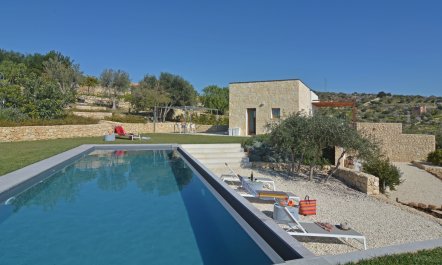 Olives Over Noto