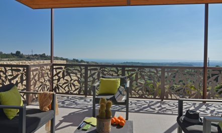 Olives Over Noto 9