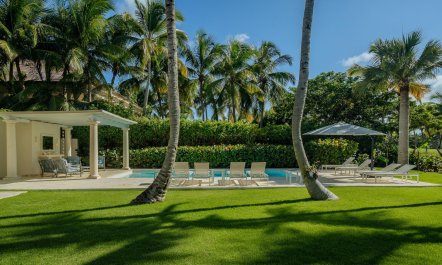 Palms Over La Cana 7