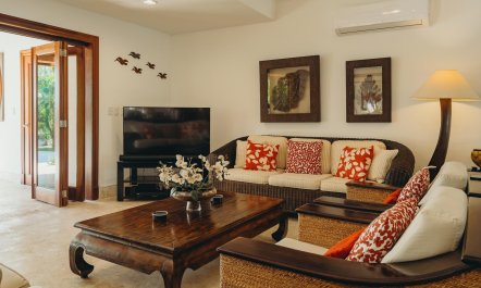 Coconut & Coral 8