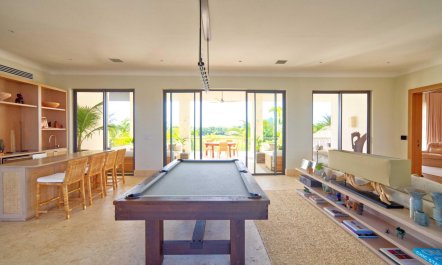 Palapa and Par 4