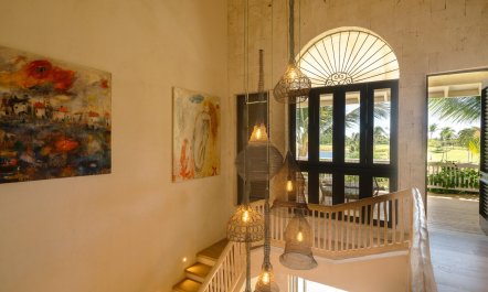 The Palms & Paradise 6