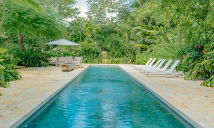 The Palms & Paradise 1