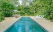 The Palms & Paradise 1