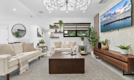King of the Court 1