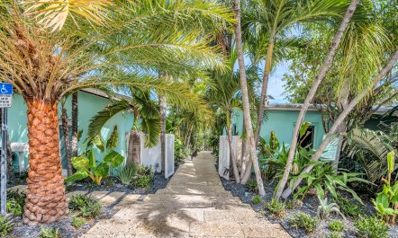 Palms of Joy 5