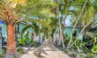 Palms of Joy 5