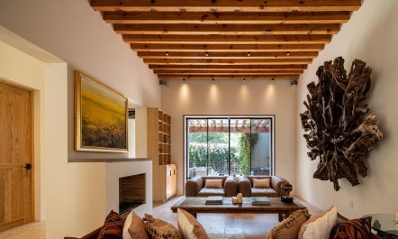 Mexican Light 1