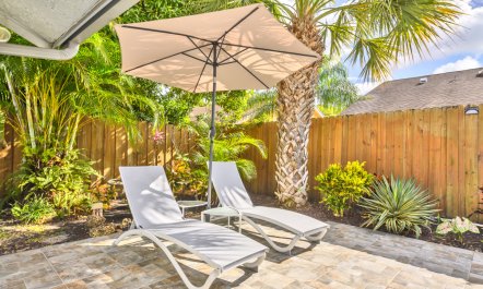 Palms and Poolside 4