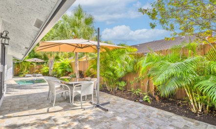 Palms and Poolside 3