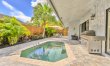 Palms and Poolside 2