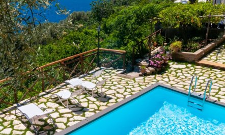 Lemons over Positano