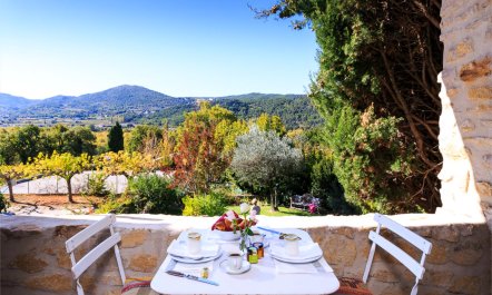 Vaison Vision 3