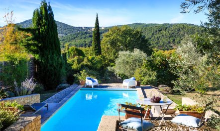 Vaison Vision