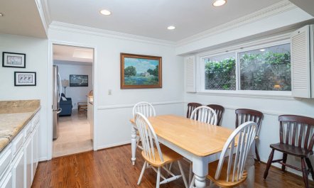 Balboa Skylight 7