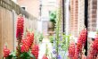Abbeville Afternoons 2