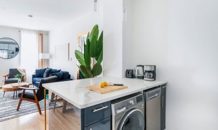 Straight off the Vine 9