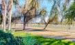 Sierra Sunshine 7