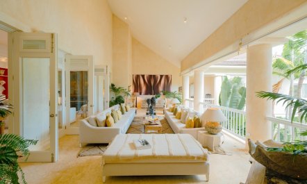 Palms Over Coral 2