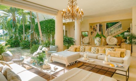 Palms Over Coral 5