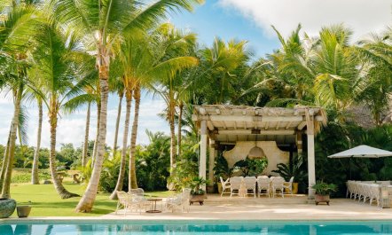 Palms Over Coral 4