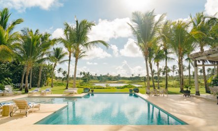 Palms Over Coral 2