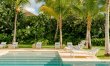 Palms Over Coral 3