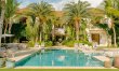 Palms Over Coral 0