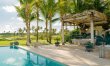 Palms Over Coral 6