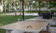 Palms & Playa 8