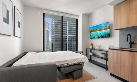 Solace in Miami 5