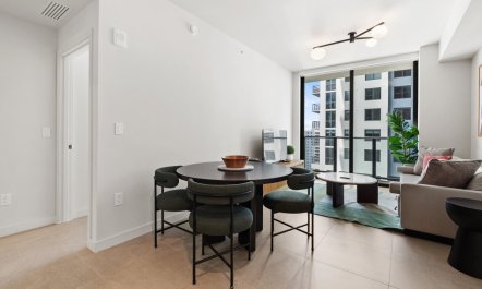 Above the Miami Skyline 4