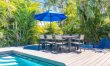 Palms & Peace 6