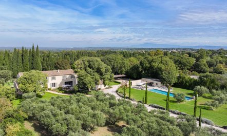 Lavender & Alpilles 2
