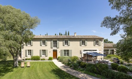 Lavender & Alpilles
