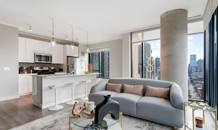 Charm of Chicago 4