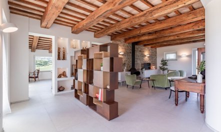 Olive Hilltop 2