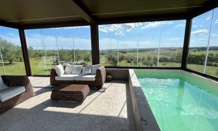 Olive Hilltop 7