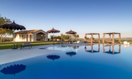Olive Hilltop 3