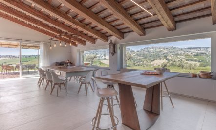 Olive Hilltop 4