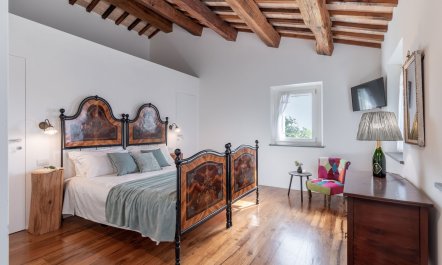 Olive Hilltop 7