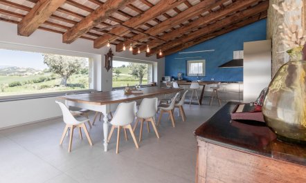 Olive Hilltop 5