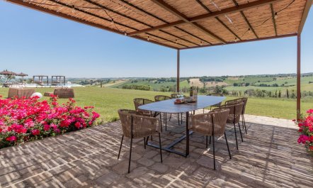 Olive Hilltop 4
