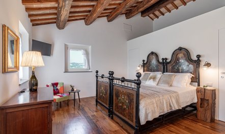 Olive Hilltop 9