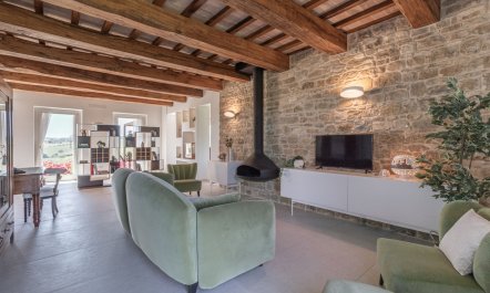 Olive Hilltop 1