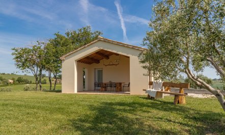 Olive Hilltop 6