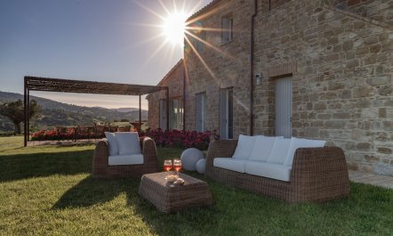Olive Hilltop 5