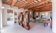 Olive Hilltop 2