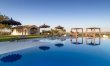 Olive Hilltop 3